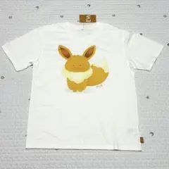 【未使用タグ付】ポケモン EVs Tシャツ イーブイ コンドウアキ コラボ