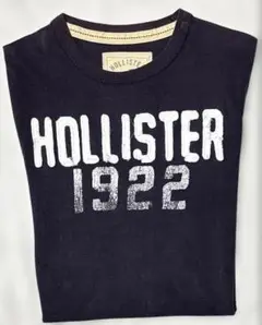 HOLISTER / ホリスター90'Sヴィンテージ・シングルステッチ(激レア)