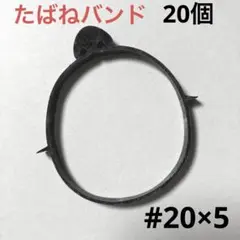 Item thumbnail for item e433d8b5-f6df-4794-b1ae-89cb74898c5d