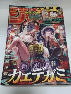 週刊少年ジャンプ 2025年30号