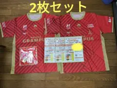 シャチの大祭典配布ユニフォー厶2枚 +1マッチシリアル3枚 ハンカチ1枚