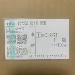 ホッコータルマエ　帝王賞　現地　単勝　馬券　的中