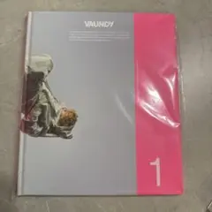 バウンディVAUNDY プレミアムフォトブック#01 新品未開封