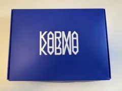 straykids スキズ KARMA CEREMONY ver ⚠︎封入トレカ×