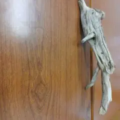 Item thumbnail for item faf8b917-cc05-46fd-8249-140a2fe68e3d