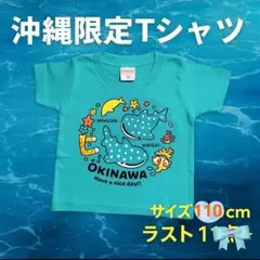 ラスト1点沖縄限定ジンベエザメのカラフルTシャツ サイズ110cmブルー A18
