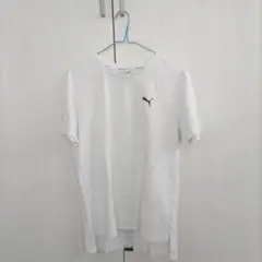 PUMA ホワイト Tシャツ Sサイズ