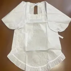 Item thumbnail for item 35f30b52-04c1-40f9-9d68-4dde4fd99985