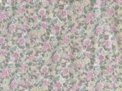 【１ｍ】 ダブルガーゼ YUWA ロアンヌ