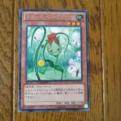 遊戯王　ナチュルローズウィップ　DTC2　即日発送可