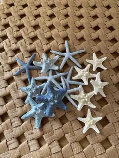 ヒトデデコレーションパーツ約12個セット