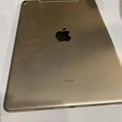 iPad Pro (10.5インチ) 本体　ジャンク