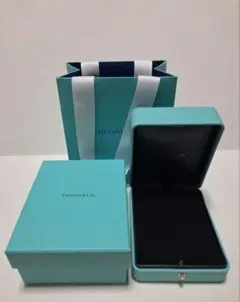 ティファニー　空箱　ネックレス用