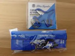 ブルーインパルス　２点セット