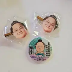 大相撲　翠富士　缶バッジ　ヘアピン