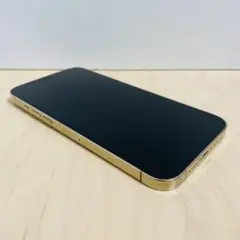 iPhone 12promax 256G