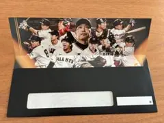巨人⭐︎ジャイアンツ⭐︎チケット入れ◾️封筒◾️リサイクル