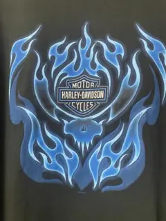 HARLEY DAVIDSON ブルーフレイム ロンT