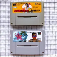 【中古】SFC　全日本プロレス世界最強タッグ、ファイプロ女子　2本セット
