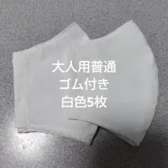 大人用普通布マスクセット
