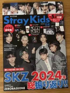 美品　Stray Kids DX 2024年総振り返り