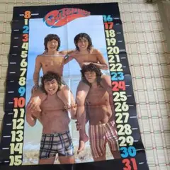ずうとるび　西城秀樹　桜田淳子　両面ポスター