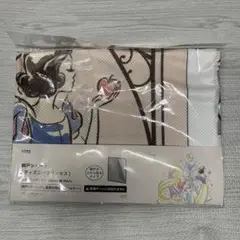 【新品未使用】網戸シェード　ディズニー　プリンセス