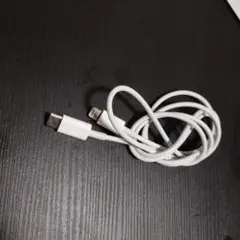 Apple純正品 Lightning to USB-Cケーブル ホワイト