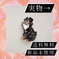 犬 ヘアクリップ 髪留め ワンコ バーニーズ マウンテンドッグ 神崎恵 愛用