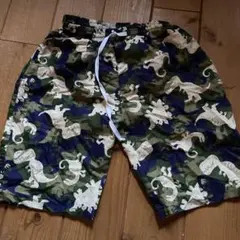 Bee des Bee 恐竜柄サーフパンツ 150 水着