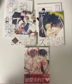 BL まとめ売り コミック 漫画 3冊