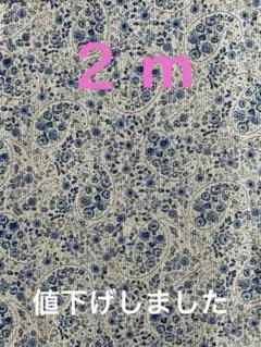 小花とペイズリー柄 ブルー 生地 綿 服地