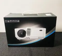 Item thumbnail for item 494a165f-7167-4202-8888-c769b55bf0a3