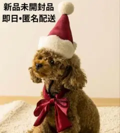 Item thumbnail for item 33a38c1a-7528-47d9-9d7a-28b439674c96