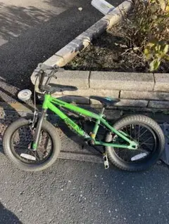 mongoose