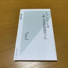 うつ・パニックは「鉄」不足が原因だった　　g23