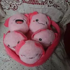 ウーパールーパーぬいぐるみ５こセット
