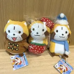 あらいぐま ラスカル いちご ウインター マスコット　3体セット　新品