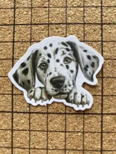 ダルメシアン犬ステッカー