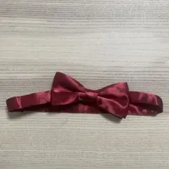 Item thumbnail for item 596da48f-c396-4564-9c68-5ba8ee90e623