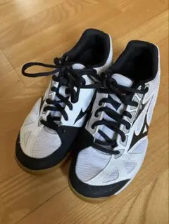室内スポーツシューズ　ミズノ　22センチ