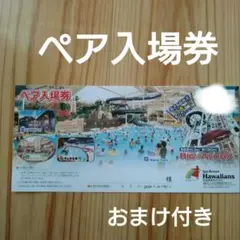 スパリゾートハワイアンズ ペア入場券