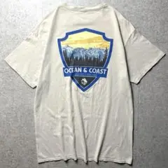 Ocean & Coast アウトドア　バックプリント　自然モチーフベージュ　M