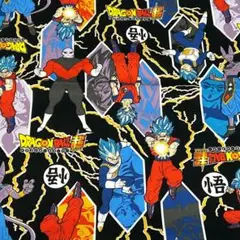 ドラゴンボール 布　生地　はぎれセット　綿