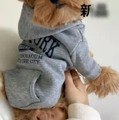 Item thumbnail for item 350386d0-62fc-414f-96db-9e448b2ca2da