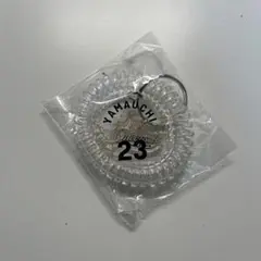 Item thumbnail for item 1f6acd92-943a-4c00-95d6-ceaddf2311b0