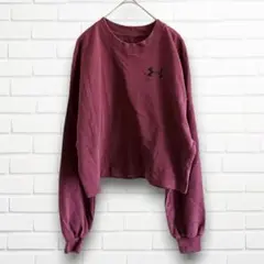 Item thumbnail for item 31d9a407-aa2c-4995-889a-30f5c6d8e7c3