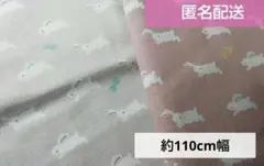 布生地 うさぎ 2色セット