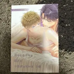 俺のオモチャは親友につながっている 3 アニメイト有償特典小冊子