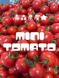 青森県産 ★こだわりのミニトマト